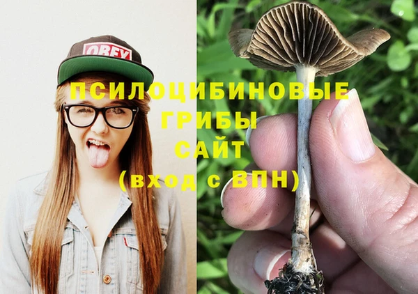 дмт Армянск