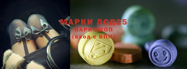 Альфа ПВП Аркадак
